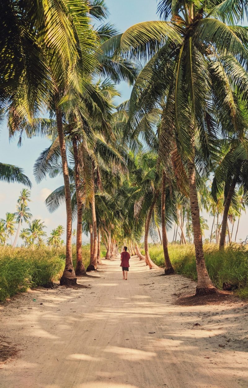 pexels-animgraphlab-6516275