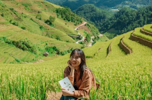 pexels-hson-18701858